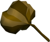 Grand seed pod detail