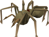 Corpse Spider