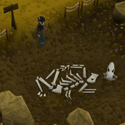 Buriedskeleton