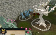 Giving King Roald a tour of the completed garden.