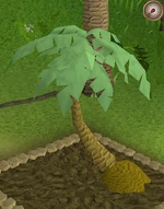 Click for a larger image.