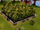 Farming grapevines.png