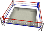 Boxing Ring POH