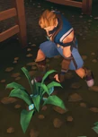A player picking flax