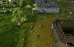 A player searching the bushes