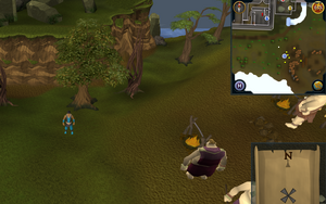 treasure trails guide compass