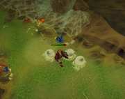 Araxxor's bomb attack.png