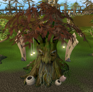 Elder spirit tree