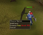 Right clicking a tree just outside Draynor Manor...