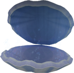 Giant Oyster RuneScape Wiki Fandom