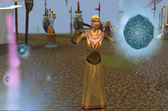 An Armadylean diviner divines.