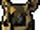 Baby golden chinchompa.png