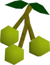 Jangerberries detail