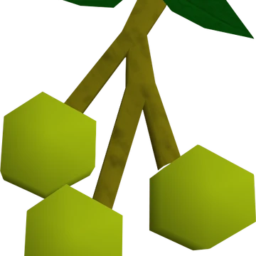 Jangerberries Runescape Wiki Fandom