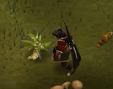 Drq4.png