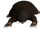 Giant Mole