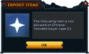 The interface that shows what items cannot be taken on the ferry