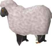 Penguin Sheep