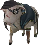 Pirate sheep