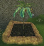 Click for a larger image.