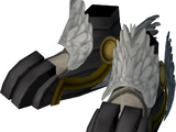 Silverhawk boots