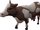 Lumbridge Cow