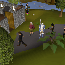 Lumbridge Sage Runescape Wiki Fandom