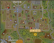 Czerwone jagody zostały zaznaczone kółkiem