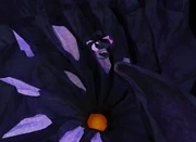 The egg from which Mah hatched.