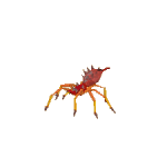 Spirit spider kb