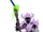 Fallen champion