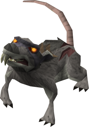 Caça aos Ratos - RuneScape Wiki