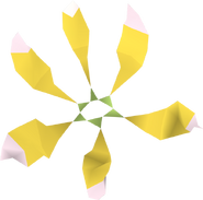 Star flower detail