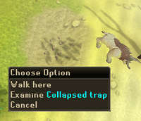 Empty Collapsed trap