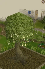 Click for a larger image