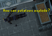 Exploding Potatoes