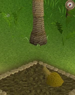 Click for a larger image.