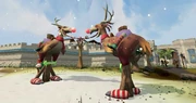 A checkpoint in the reindeer-terrorbird race