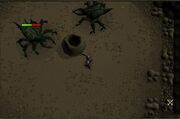 Safe Spot at Kalphite Guardians