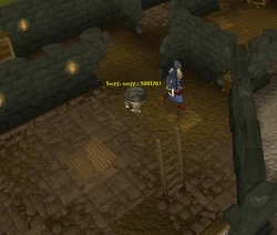 Where your Broav leads you to.