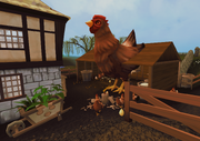 Giant chicken