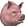 Pig (pet) chathead
