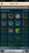 RuneScape Companion bank viewer