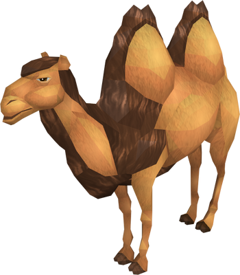 Cart Camel