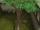Tree (Tribute to Guthix)