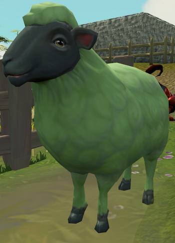 Sick-looking sheep (2) (dyed)