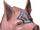 Spirit prayer pig chathead.png