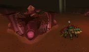Kalphite Queen's lair