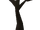 Undead tree