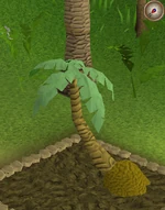 Click for a larger image.